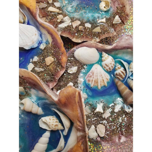 Ocean shells